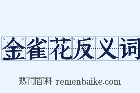 金雀花反义词是什么意思的图片